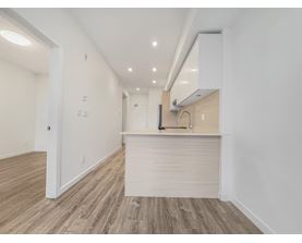 A kitchen area with a counter and cabinets.