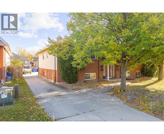 A tree in front of a brick building with a sign that says REALTOR.