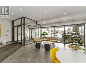 A modern office space with a glass wall and a Christmas tree.
