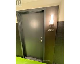 A black door with the number 323 on the wall above it.