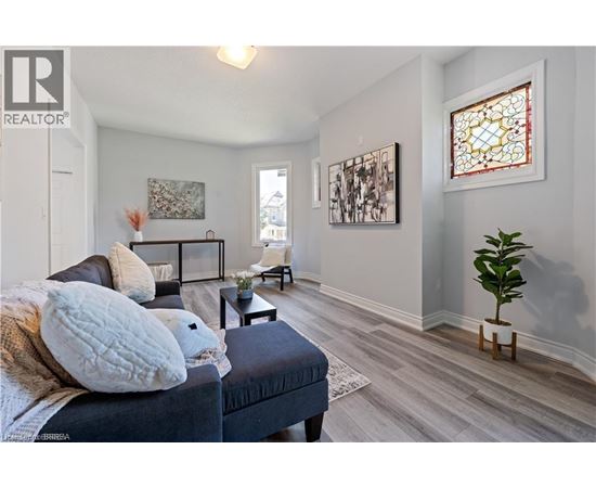 A living room with a dark blue couch and a small plant on the right side.