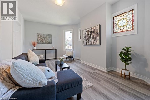 A living room with a dark blue couch and a small plant on the right side.