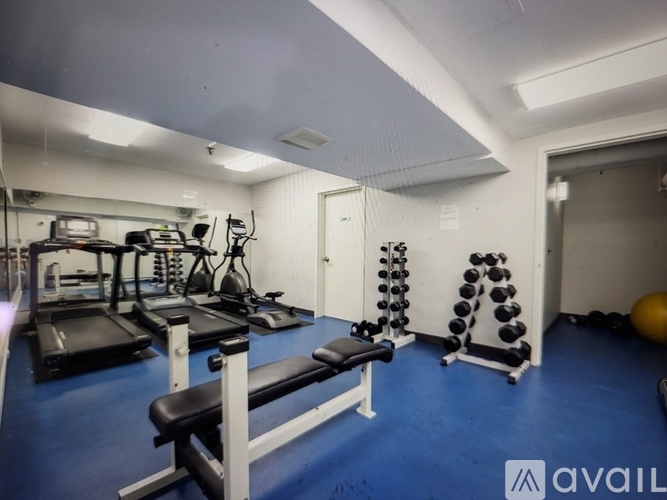 A gym with treadmills, weights, and exercise balls.