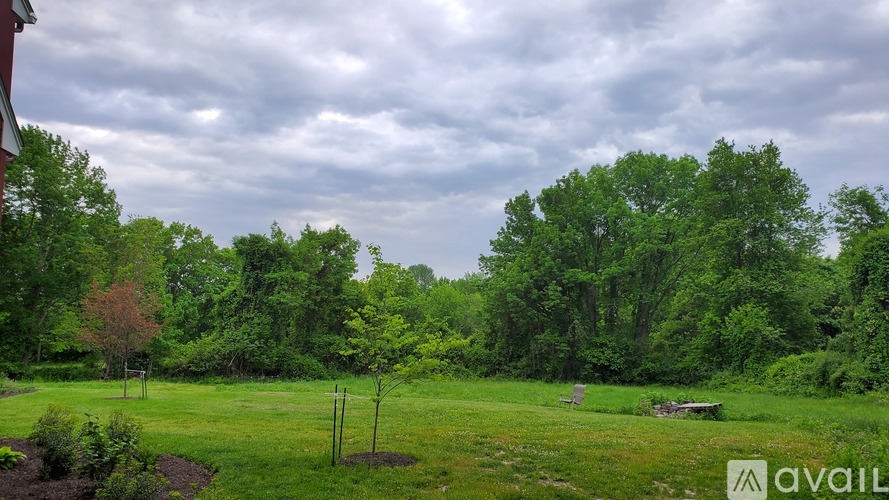 A lush green field with trees and a cloudy sky.