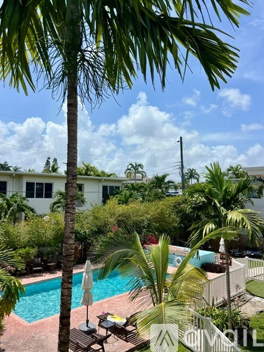 A pool surrounded by palm trees and a white fence.