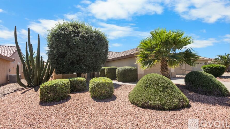 A garden with a cactus, a palm tree, and a variety of bushes.