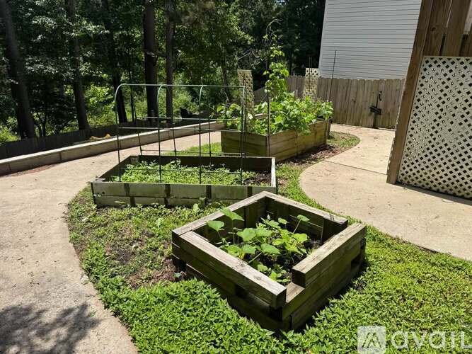 A garden with raised beds and a fence in the background.