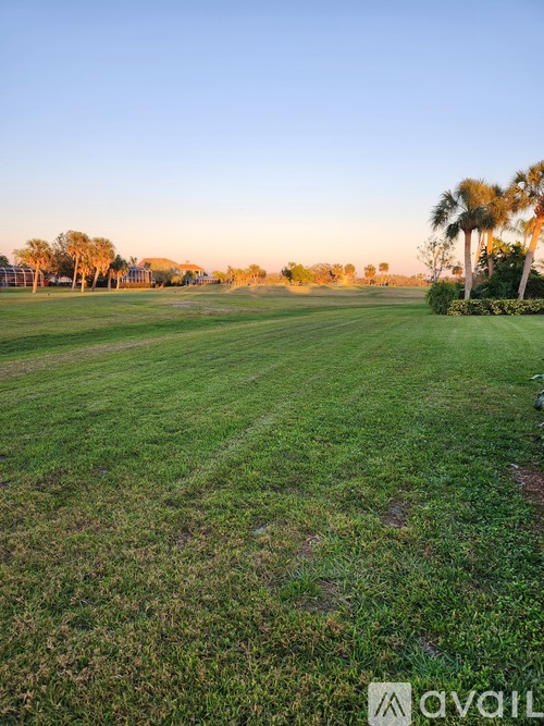A grassy field with palm trees in the distance.