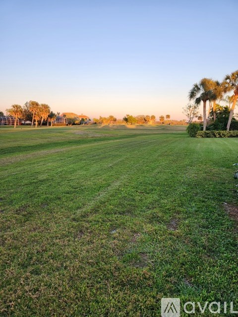 A grassy field with palm trees in the distance.