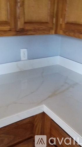 A kitchen counter with wooden cabinets and a marble countertop.