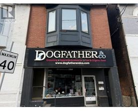 A storefront with a sign that reads "DOGFATHER & CO" sells grooming, apparel, and accessories.
