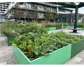 A green planter box filled with vegetables sits in front of a building.