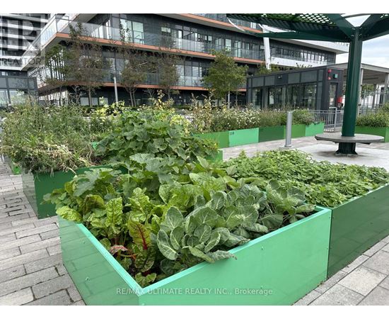 A green planter box filled with vegetables sits in front of a building.