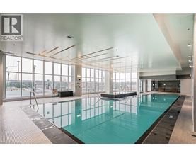 A large indoor swimming pool with a glass wall on one side.
