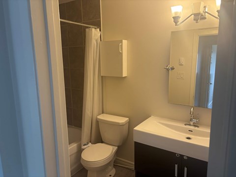 A white toilet sits next to a sink in a bathroom.