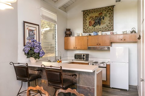 26463 Sugar Cone Ln 3 Beds Apartment for Rent