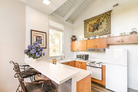 26463 Sugar Cone Ln 3 Beds Apartment for Rent