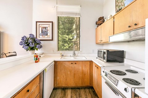 26463 Sugar Cone Ln 3 Beds Apartment for Rent