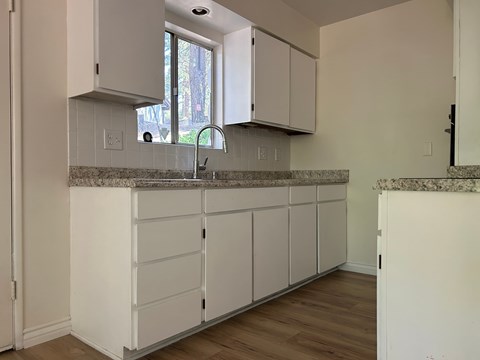 31788 Panorama Dr. Unit #2 1 Apartment for Rent