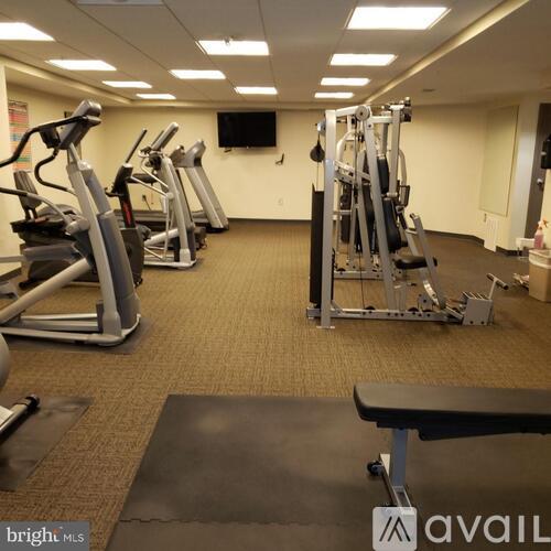 A gym with treadmills, elliptical machines, and a bench.