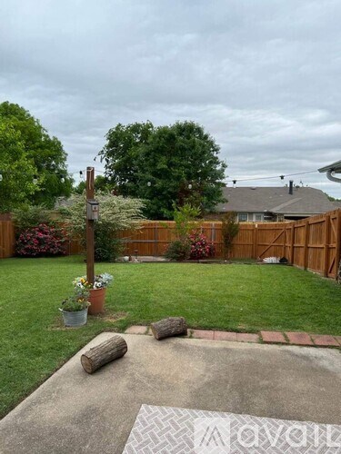 A backyard with a wooden fence, a small tree, and a potted plant.
