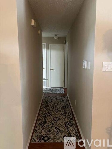 A hallway with a patterned carpet leads to a white door.