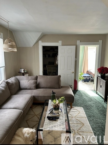 A living room with a grey couch and a coffee table with a plant on it.