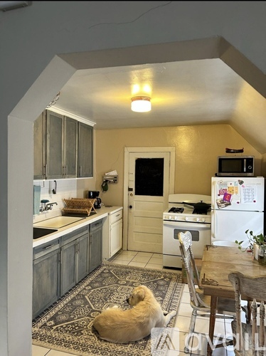 A dog is sitting on a rug in a kitchen.