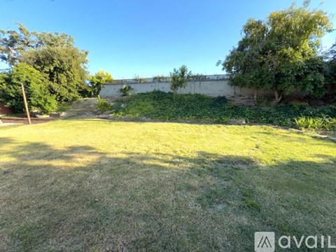 A grassy field with trees and a wall in the background.
