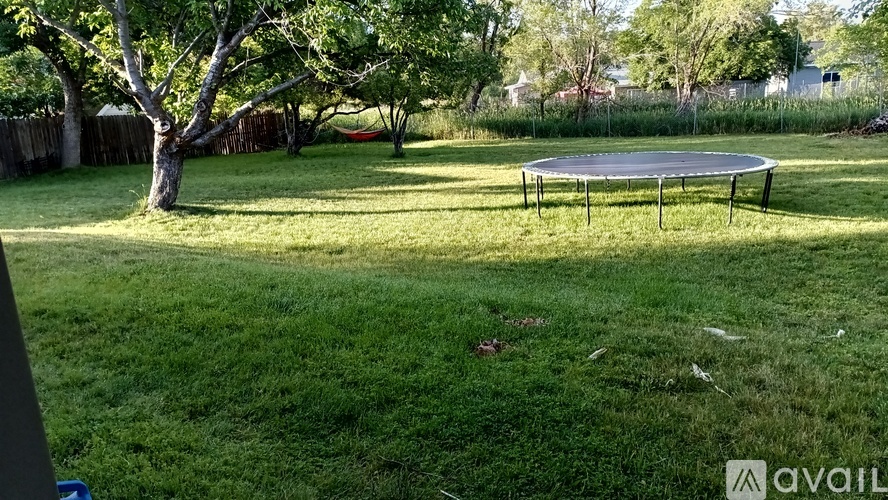 A trampoline is in a grassy backyard.