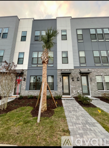 A modern building with a palm tree in front.