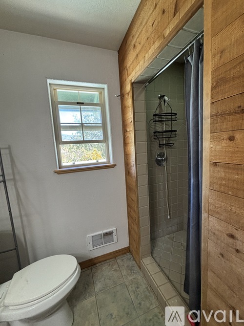A bathroom with a toilet, a window, and a shower.