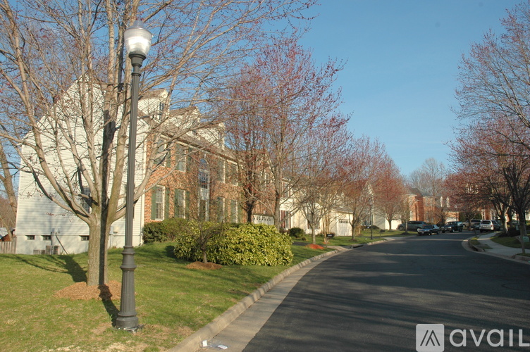 A street view with a lamp post and trees.