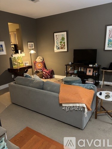 A living room with a grey couch and a television.