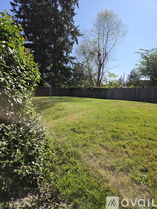 A backyard with a fence and green grass.