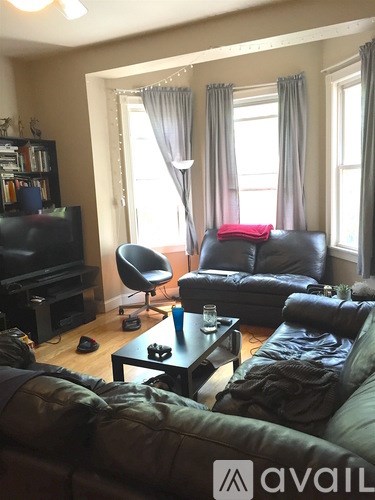 A living room with a black leather couch and a green couch.