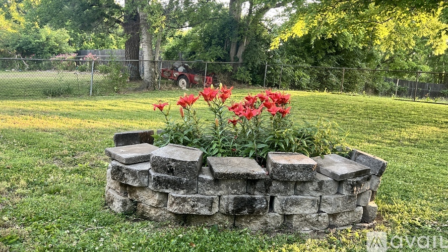 A stone wall with red flowers in the middle of a grassy area.