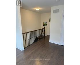 A dog is standing on a wooden floor in a room with white walls.