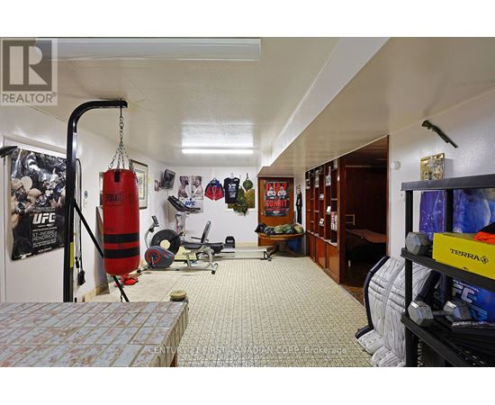 A gym room with a punching bag, weights, and exercise equipment.