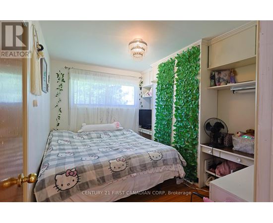A bedroom with a Hello Kitty bedspread and a green plant on the wall.