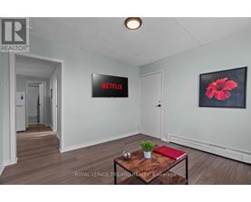 A room with a wooden floor and a coffee table with a red book and a plant on it.