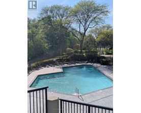A pool surrounded by trees and a black fence.