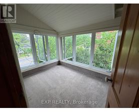 A sunny room with a carpet floor and a view of trees outside.