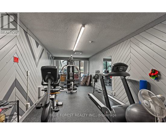 A gym with treadmills, elliptical machines, and other exercise equipment.
