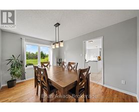A dining room with a table and chairs and a plant.