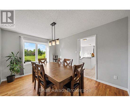 A dining room with a table and chairs and a plant.