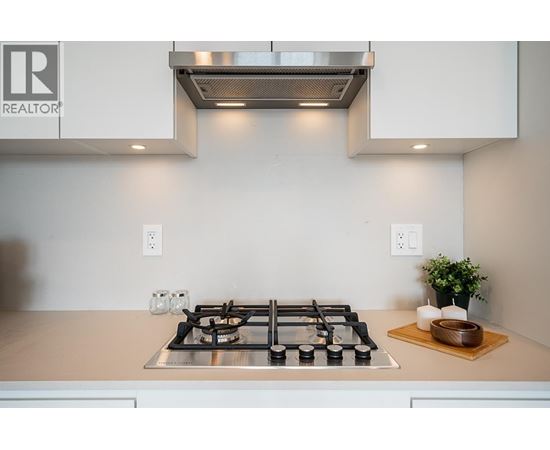 A modern kitchen with a stove top and a plant on the counter.