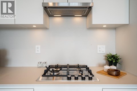 A modern kitchen with a stove top and a plant on the counter.