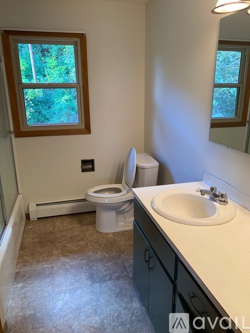 A bathroom with a toilet, sink, and window.