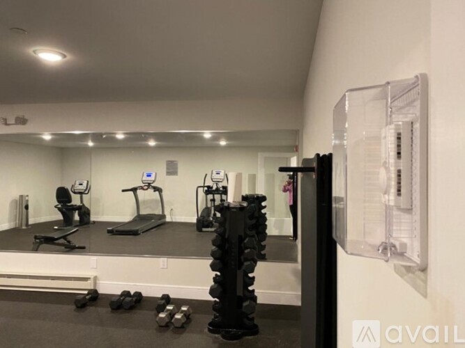A gym with a row of treadmills, a row of exercise bikes, and a row of dumbbells.